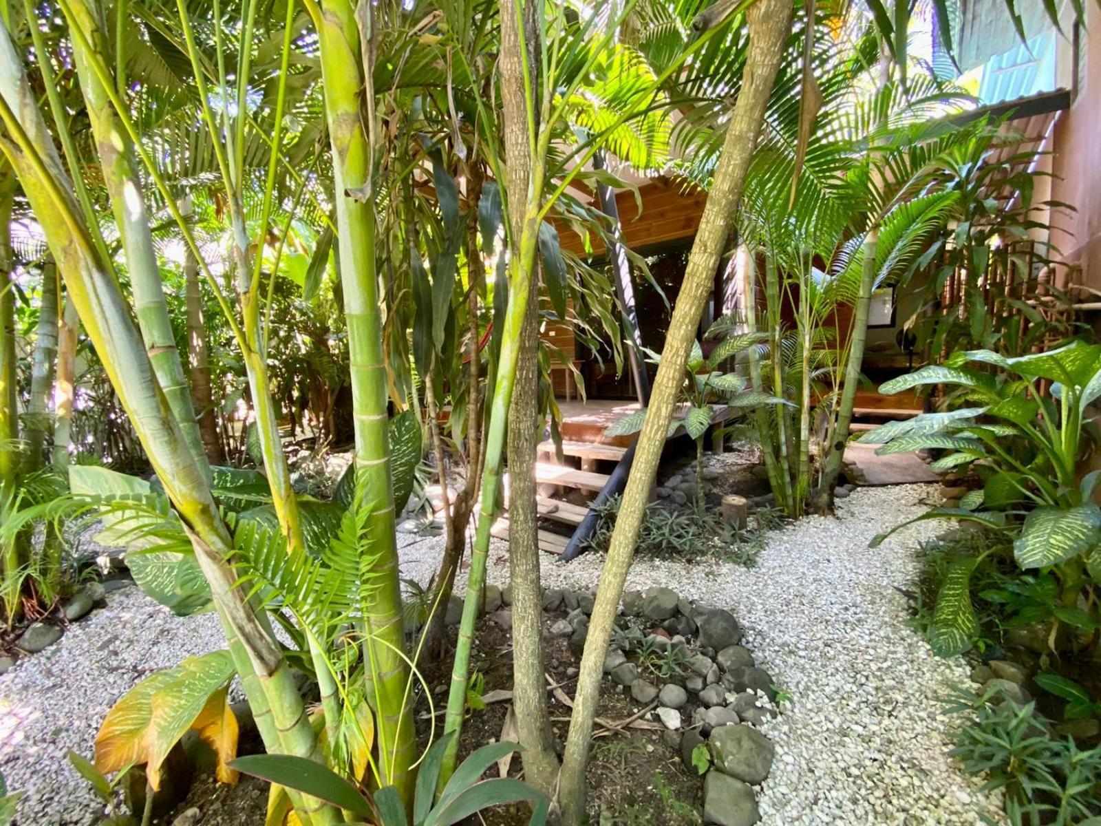 Santeria Lodge Playa Santa Teresa  Exterior foto