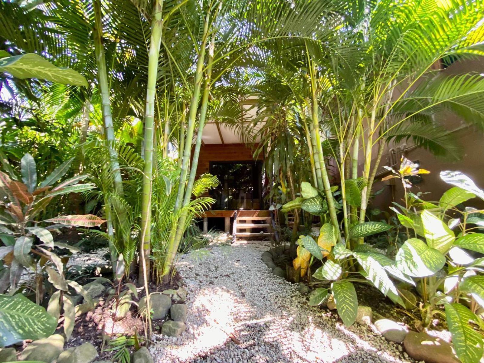 Santeria Lodge Playa Santa Teresa  Exterior foto