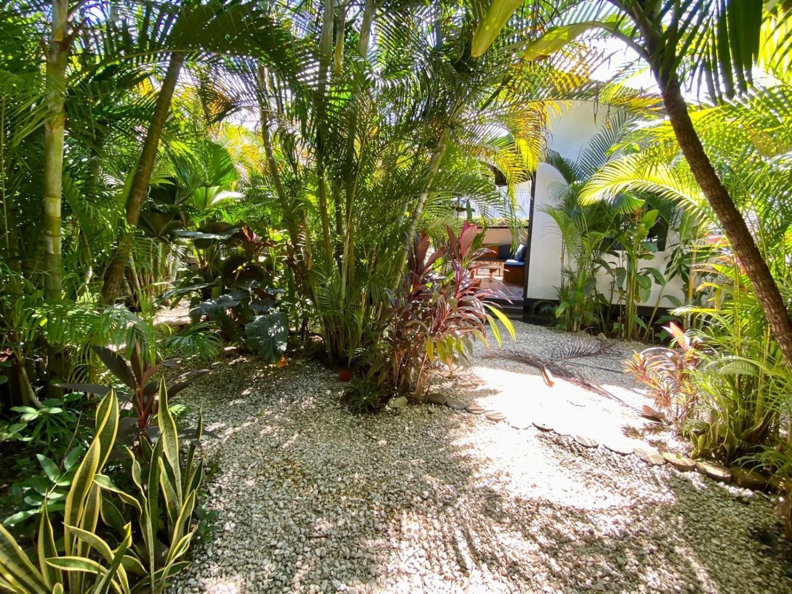 Santeria Lodge Playa Santa Teresa  Exterior foto