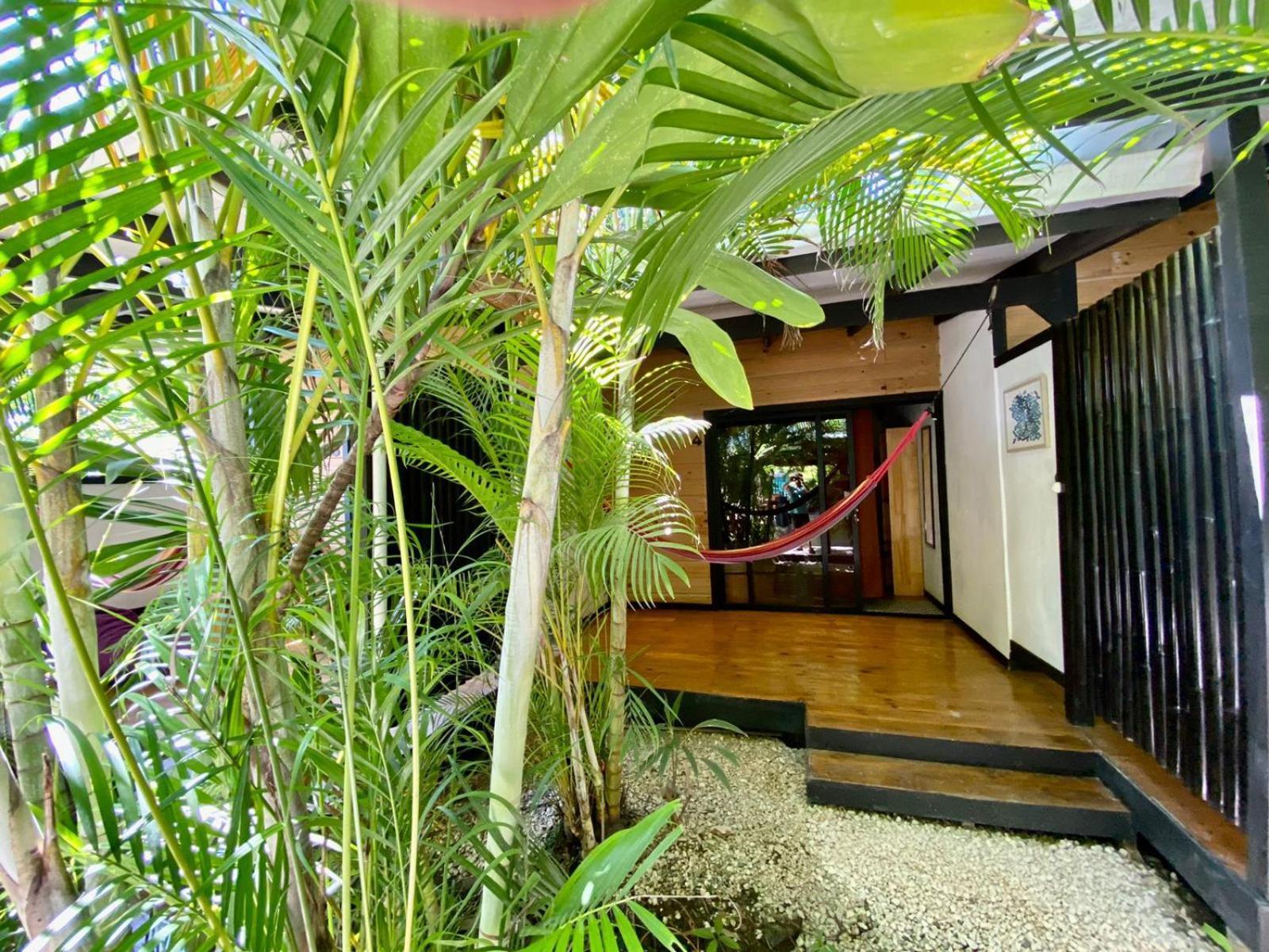 Santeria Lodge Playa Santa Teresa  Exterior foto