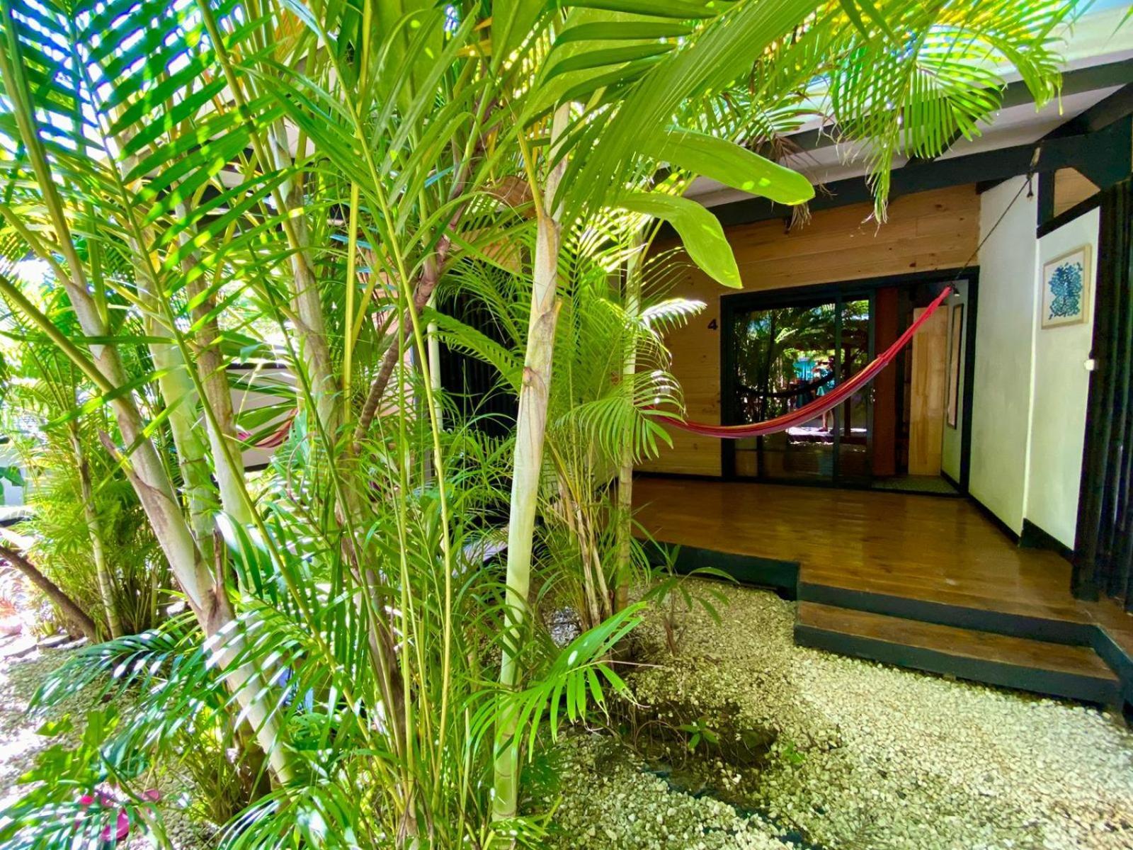 Santeria Lodge Playa Santa Teresa  Exterior foto