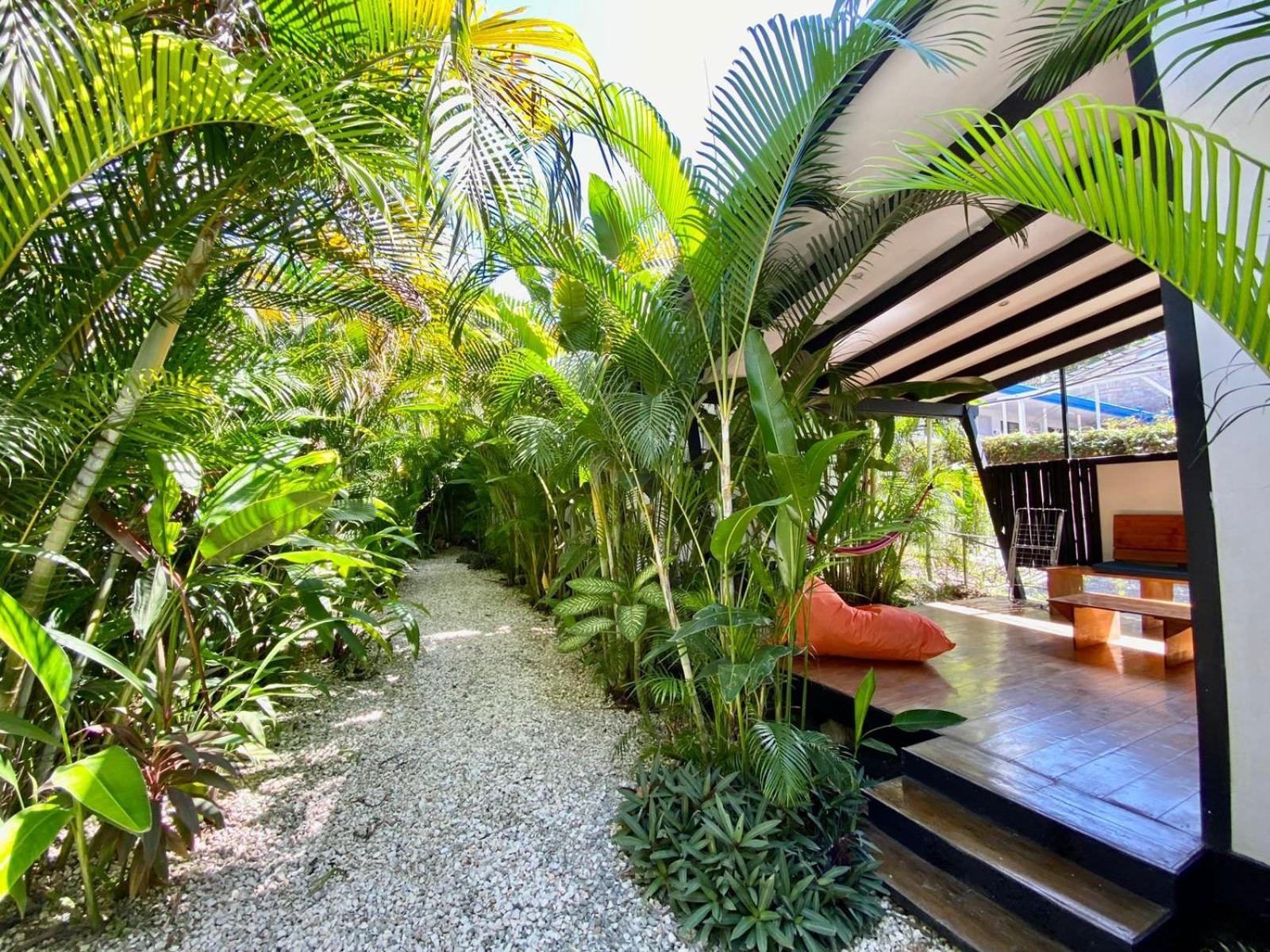 Santeria Lodge Playa Santa Teresa  Exterior foto